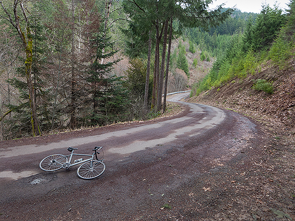 Bicycle riding in the Cascade Mountain foothills