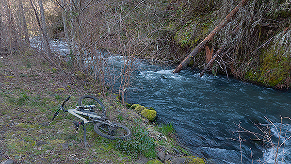 PacNW creek running fast with early spring rain