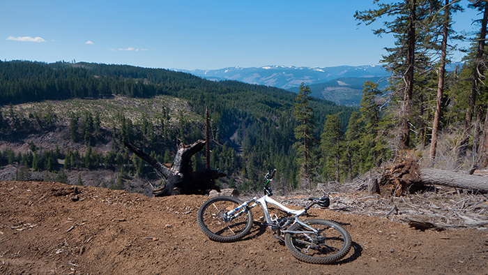 Mountain bike riding in the Cascade Mountains