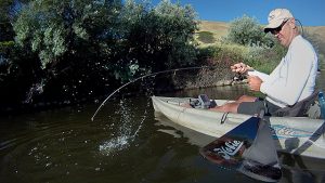 Click HERE for John Day River kayak fishing video