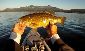 Columbia River smallmouth bass