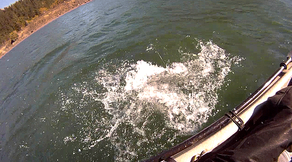 Kayak fishing for salmon on the Columbia River