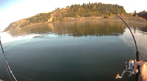 Kayak fishing for salmon on the Columbia River