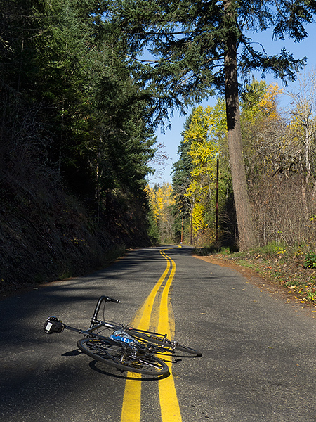 Bike riding in the Pacific Northwest on a sunny autumn day