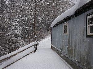 Heavy snow in the Pacific Northwest January 2017