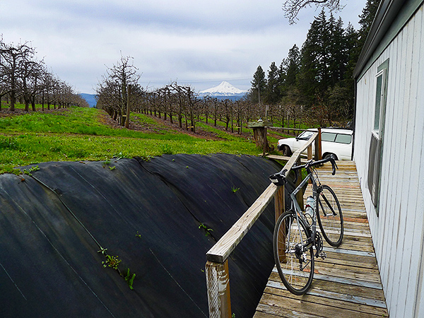 Heading out for a bike ride in the Pacific Northwest