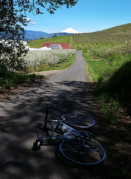 Mt Adams 5-7-17