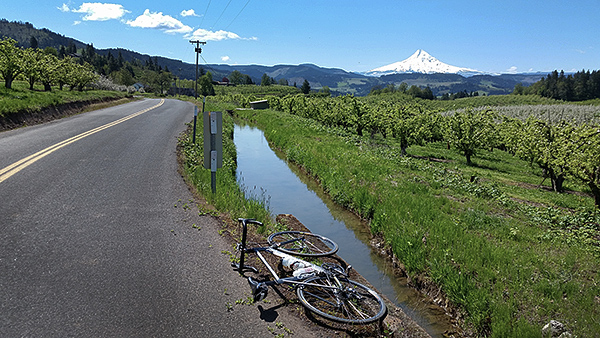 The road through the Hood River valley to Mt Hood