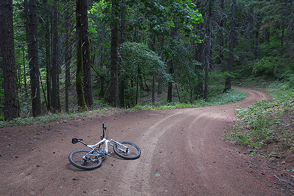 Cycling on Pacific Northwest Forest Service and logging roads