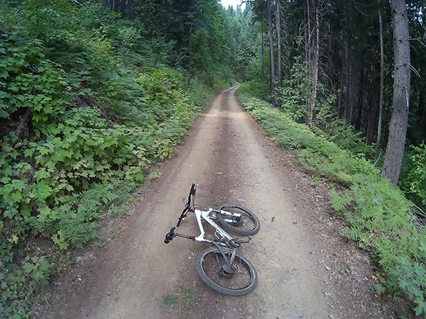 Mountain bike riding on Forest Service roads in SW Washington