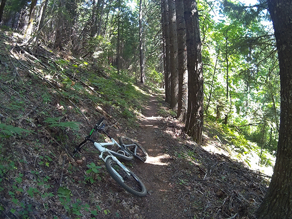 Mountain biking SW Washington singletrack