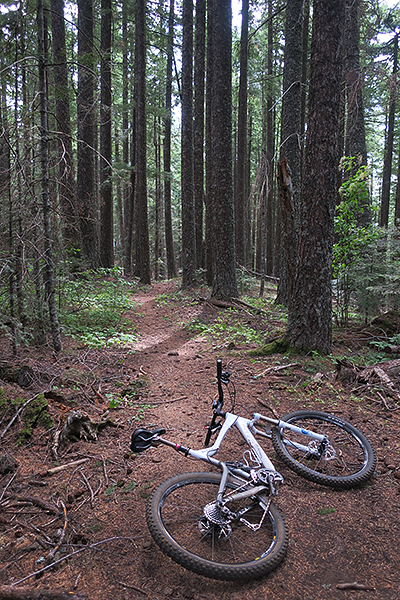 SW Washington singletrack mountain bike trail