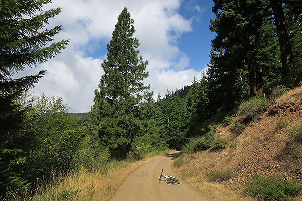 Sunny, hot and dusty mountain bike riding