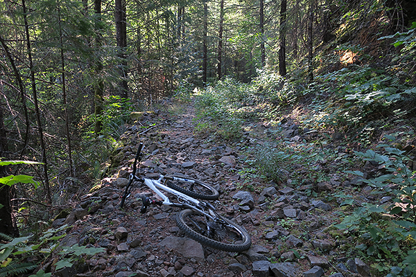 Rocky section of mountain bike trail