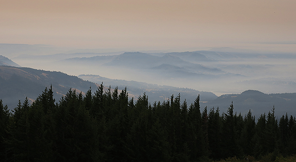 Smoke from the Eagle Creek fires chokes the Columbia River Gorge