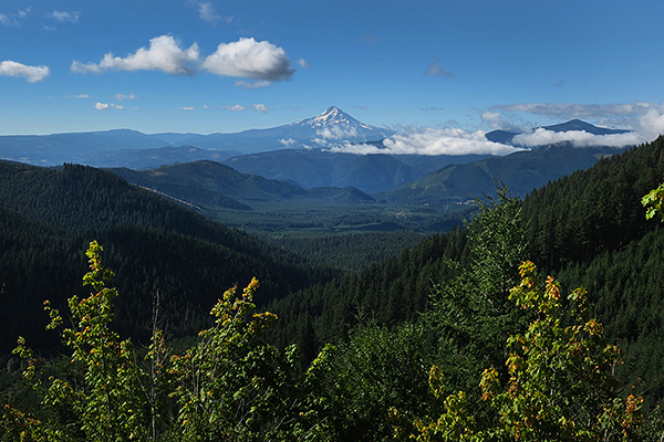 Wild southwest Washington backcountry