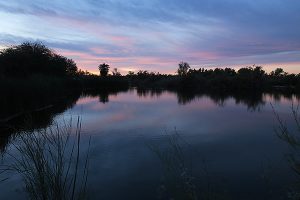 Fortuna Pond, just outside of Yuma, AZ