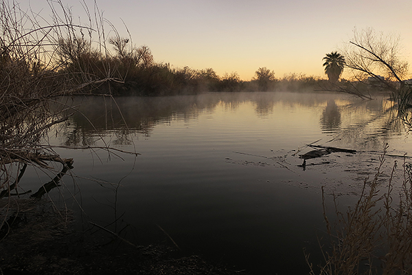 Cold winter morning at Fortuna Pond AZ.