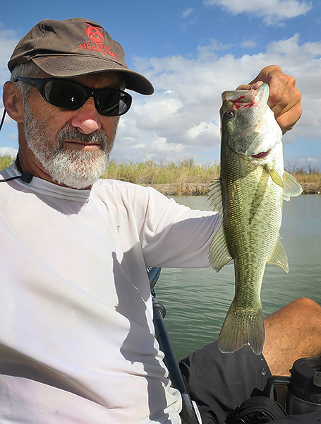 Mittry Lake largemouth bass caught by watermanatwork.com kayak fisherman Ron Barbish