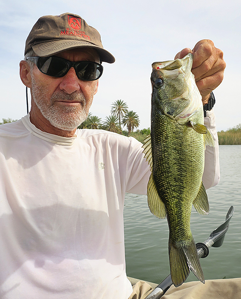 Nice Colorado River largemouth bass caught by watermanatwork.com kayak fisherman Ron Barbish