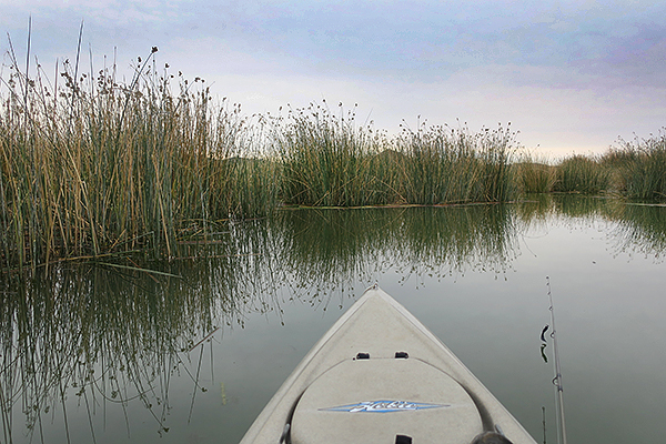 Kayak fishing for largemouth bass in the reeds of Mittry Lake.