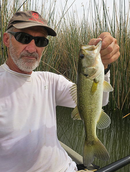 Mittry Lake largemouth bass caught by watermanatwork.com kayak fisherman Ron Barbish.