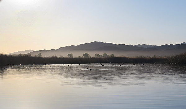 Desert hills around Mittry Lake