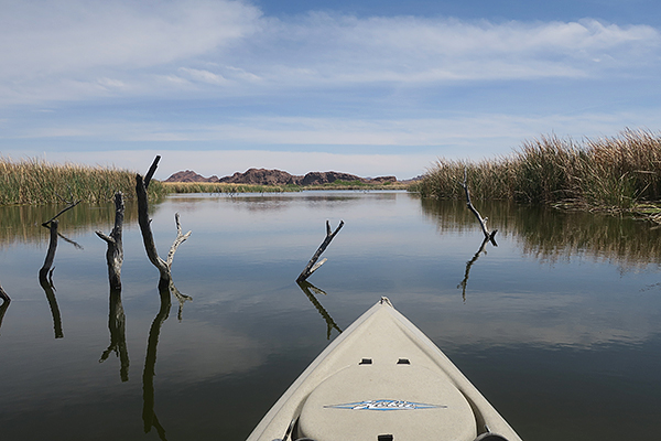 Taylor Lake, Picacho, CA