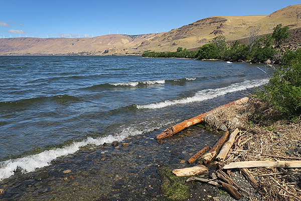 The Columbia River in eastern Washington