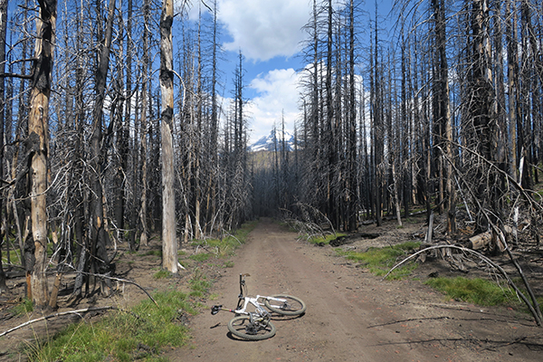 Mt Adams forest burned by wildfire