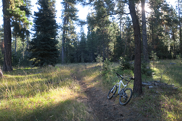 Cascade Mountain trail