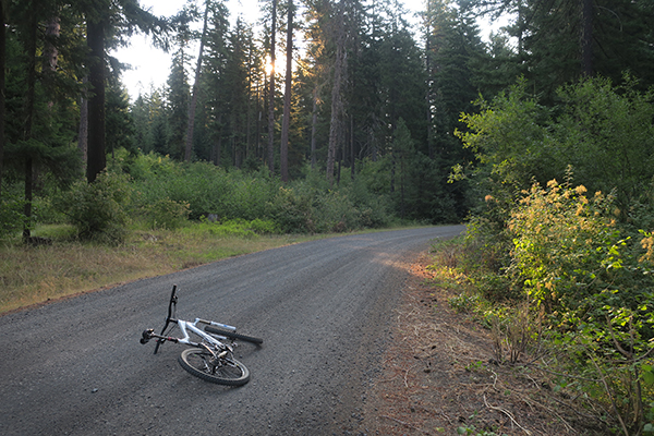 Early morning road climb up to Mt Adams