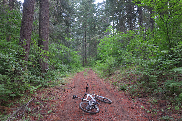 Mountain biking in Gifford Pinchot National Forest