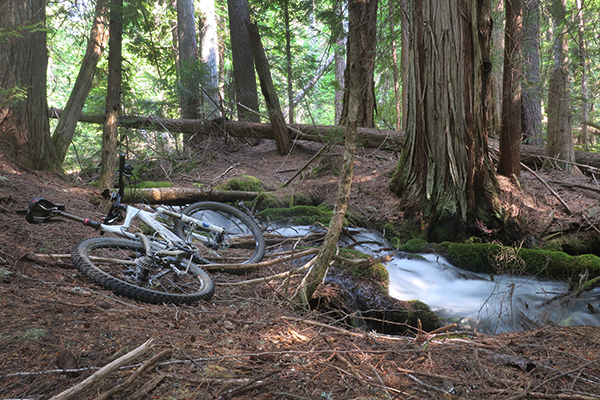 Mountain bike next to a Cascade Mountain stream