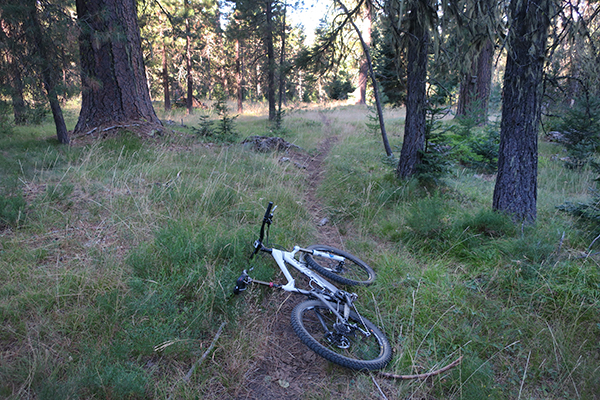 Rarely used Cascade Mountain trail