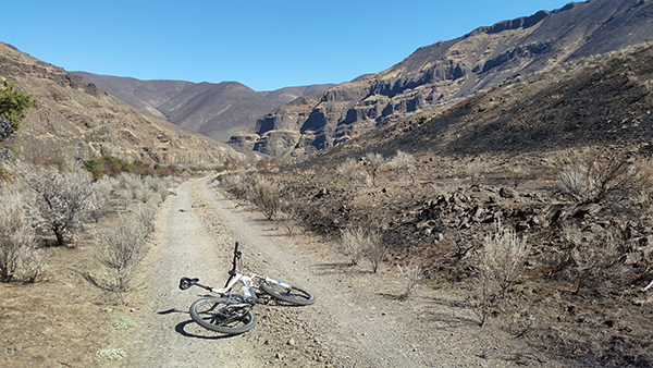 Mountain bike riding in Deschutes River canyon