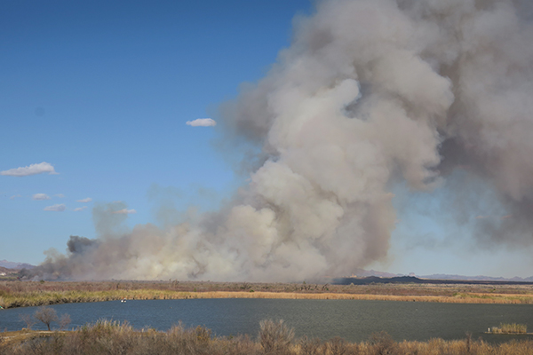 Fire burns between the Colorado River and Mittry Lake in southwest Arizona