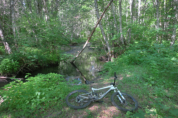 Cascade Mountain creek