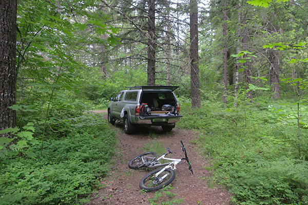 A cool, misty June morning in the Cascade Mountains of central Washington