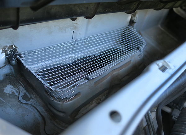 Rodent proof screen cover for cabin air intake vent