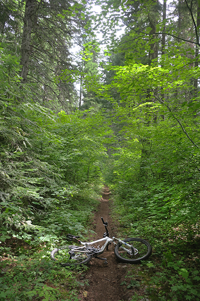 Mountain biking Cascade Mountain trail with perfect riding conditions