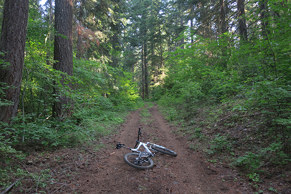 Mountain bike riding in the Cascade Mountains of central Washington