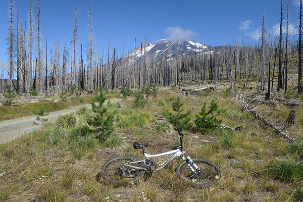 Mountain biking near Mt Adams in the Cascade Mountains of central Washington