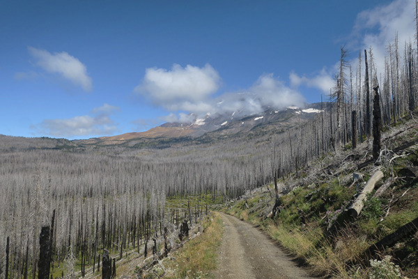 Mountain biking near Mt Adams in the Cascade Mountains of central Washington