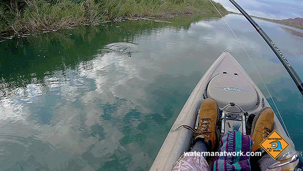 Kayak fishing for largemouth bass on a near flood stage Colorado River with watermanatwork.com