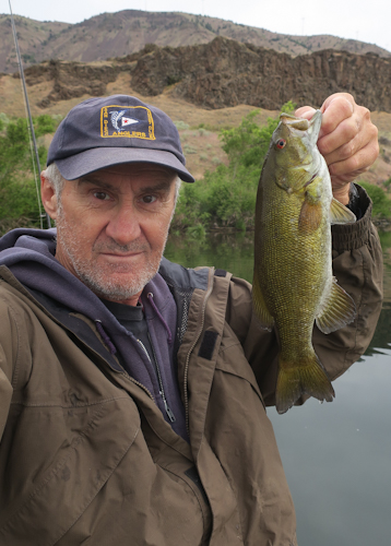 Columbia River smallmouth bass caught by watermanatwork.com kayak fisherman Ron Barbish