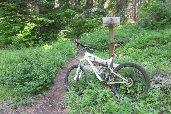 Cascade Mountain singletrack