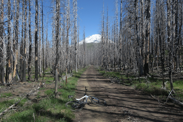 Mt Adams 5-29-20