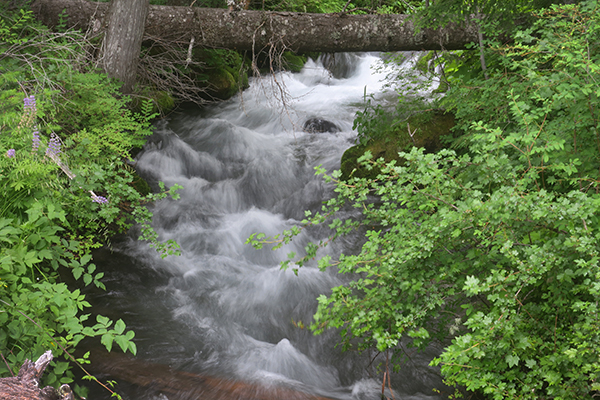 Cascade Mountain stream