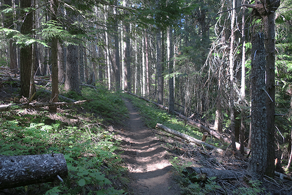 Cascade Mountain trail